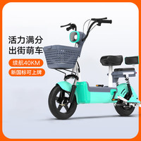 雪辰新国标电动自行车成人电动自行车锂电池代步车长续航电瓶 青盐绿【CCC认证+骑行大礼包】 48V12A天能/超威电池续航约120里 绿色(新国标可上牌可提取充电）