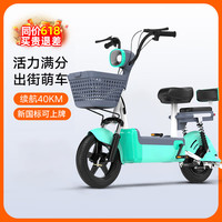 雪辰新国标雅迪车型电动车电动自行车48V12A电动车轻便助力小型电瓶车 青盐绿【CCC认证+骑行大礼包】 48V12A高配铅酸电池续航约100里 青盐绿（新国标全国可上牌）