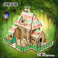 举名木质立体拼图3d建筑拼装模型儿童益智玩具女孩手工diy房子积木 绿野仙踪