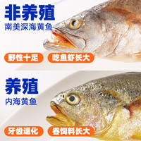 巢三珍 南美三去黄花鱼200g*8条 黄鱼鲞新鲜大黄鱼海捕非养殖