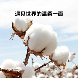 花美惠 洗脸巾两包一次性洁面巾260g棉柔巾加厚加大cotton tissue