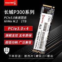 百亿补贴：Great Wall 长城 P300 NVMe M.2 固态硬盘 1TB（PCI-E3.0）