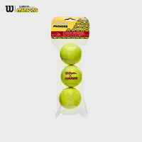 威尔胜（Wilson）罐装网球小黄人联名网球青少年儿童训练卡通网球3只组合装 WR8202701001