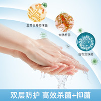 芦荟抑菌洗手液柠檬玫瑰花香补充装500ml不伤手滋润保湿清洁家用