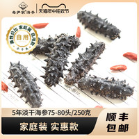老尹家淡干海参底播5年刺参罐装家庭自用款250g75-80头