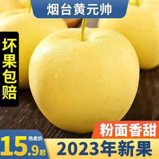 鲜声 烟台黄金帅黄元帅苹果水果带箱新鲜粉面黄香蕉当季时令生鲜 75-80mm 3斤中果
