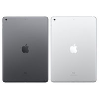 百亿补贴：Apple 苹果 iPad 9代(九代) 10.2英寸 WLAN版 正品平板电脑 2021