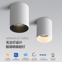 天川照明明装射灯护眼全光谱led深防眩卧室吸顶天花灯背景墙小山丘洗墙灯 白色12W3000K 36度光束角度