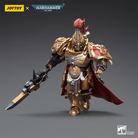 JOYTOY 暗源 战锤40K 帝皇禁军5人组 1：18可动兵人模玩