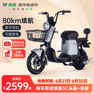 LUYUAN 绿源 ZFB 翻糖 电动自行车 TDT2026Z 48V24Ah锂电池 静谧灰