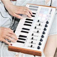 WORLDE -PANDAmini25键midi键盘打击垫音乐编曲键盘电音迷笛控制器