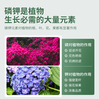 史丹利磷酸二氢钾肥料花卉农用磷肥花肥花用磷钾肥叶面肥
