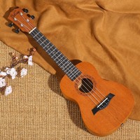 维卡斯（WEIKASI）尤克里里初学者23寸乌克丽丽单板ukulele
