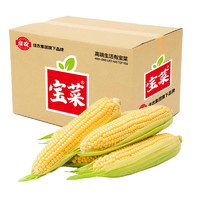 京百味 佳农宝菜新鲜水果玉米5斤装