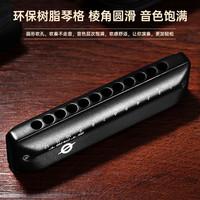 FEIFAN飞繁12孔布鲁斯口琴全音阶低音带FaLa初学者成人专业演奏琴 B调