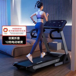SHUA 舒华 E6家用跑步机静音减震庭款折叠走步健身房专用器材T3900-H2