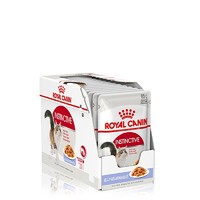 ROYAL CANIN 皇家 猫粮 英短成猫湿粮 软包猫罐头BSP 12月以上 浓汤肉块 85G*12