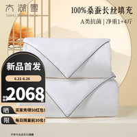 太湖雪蚕丝被芯100%桑蚕长丝夏凉被空调被子母被二合一全棉A类抗菌四季 子母被【蚕丝净重1+4斤】 200*230cm