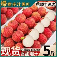 樱鲜 爆甜精品果 黑叶荔枝 5斤装 单果20g+
