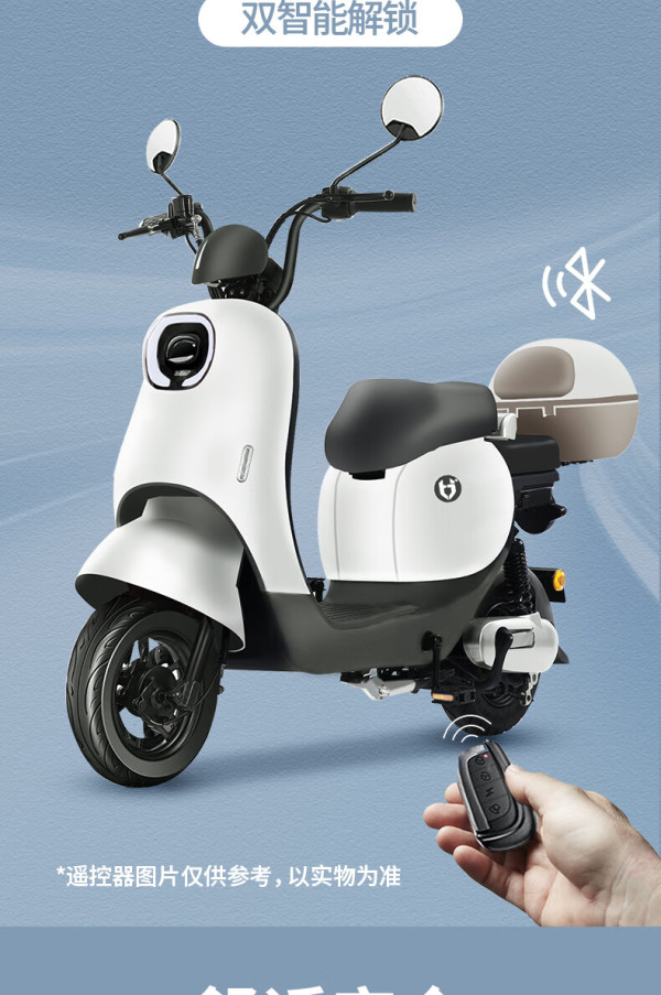 bodo宝岛电动车宝岛新国标电动车铅酸锂电池电瓶车代步助力车长续航