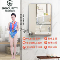seicurty 斯瑞斯特 即热式电热水器 磁能杀菌