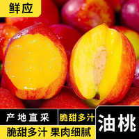 鲜应山东黄心油桃 当季新鲜水果 脆甜桃子 现摘整箱 3斤带箱（单果约30-50g）