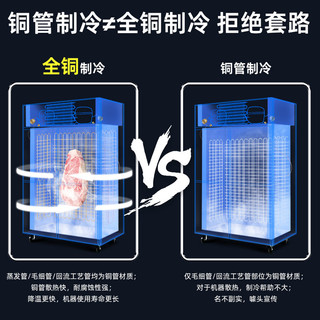 XINGX 星星 商用四门厨房冰箱 立式双温冰柜电子温显 不锈钢饭店酒店冰箱冷柜BCD-860Y
