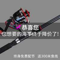 龙江源海杆抛竿套装 鱼竿甩竿远投竿超硬钓鱼杆渔具全套海竿