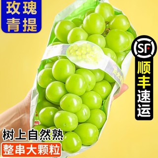 【彩箱】阳光玫瑰3/5斤整串晴王葡萄青提无籽提子香印新鲜水果