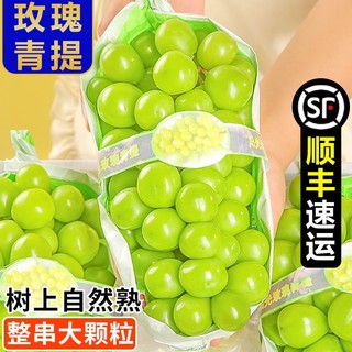 【彩箱】阳光玫瑰3/5斤整串晴王葡萄青提无籽提子香印新鲜水果