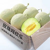 果益寿 新鲜水果蜜瓜 山东网纹瓜 9斤装(3-5个)