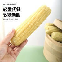 【芊丽态】东北白糯玉米新鲜黏苞米棒代餐非转基因5斤/箱