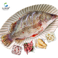 仙泉湖黄山大臭鳜鱼1.8斤/1条净膛腌制冷冻臭桂鱼900g安徽海鲜食材
