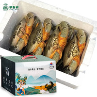 【活蟹】掌昕鲜三门青蟹 公母对蟹（5-6两/只）4只 生鲜活螃蟹海鲜水产盒非梭子蟹