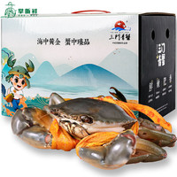 【活蟹】掌昕鲜三门青蟹 肉蟹大公蟹（8-9两/只）1只 生鲜活螃蟹海鲜水产礼盒非帝王蟹