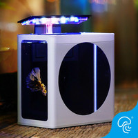月光水母泰国斗鱼缸入门级简约斗鱼展示缸办公室生态微缸观赏鱼迷你桌面缸 空缸(默认黑白款)