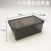 泽驭名宠（ZEYU MINGCHONG）爬虫角蛙守宫蜗牛蜘蛛蝎子蜈蚣蛇蜥蜴乌龟爬宠饲养箱饲养盒 黑色小号19*12.5*7.5cm