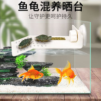 耐恩乐乌龟晒台爬台鱼缸龟缸爬坡高水位休息水族箱深水浮岛龟箱晒背浮台 【白色小号-单吸盘】9*16*3cm