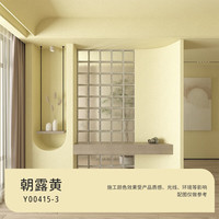 三棵树 漆（SKSHU）微水泥效果艺术漆 侘寂风肌理质感墙面涂料抗甲醛 朝露黄 1L ~10L 1L