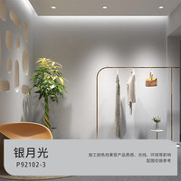 三棵树 漆（SKSHU）微水泥效果艺术漆 侘寂风肌理质感墙面涂料抗甲醛 银月光 1L ~10L 5L