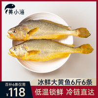 黄小渔BAP认证【冰鲜】黄花鱼6条6斤 生鲜鱼类 宁德大黄鱼 源头直发