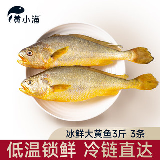 黄小渔BAP认证【冰鲜】黄花鱼3条3斤 生鲜鱼类 宁德大黄鱼  源头直发