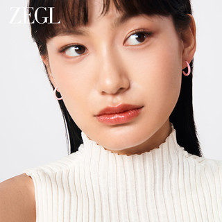 ZENGLIU ZEGL高级感多巴胺耳环女2024新款爆款耳钉耳圈小众银针耳饰品套装