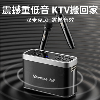 纽曼N505话筒音箱家庭ktv音响套装家用音箱手提便携式话筒K歌麦克风一体机 双麦