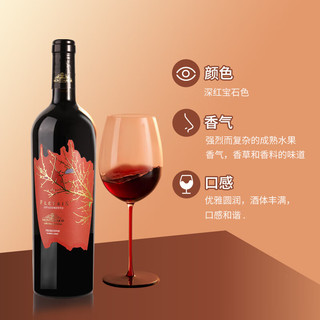 LO SPIRITO DELL' IMPEGNO意大利原瓶红酒葡萄酒整箱礼盒装高档聚会 【750ml*1瓶】单支装