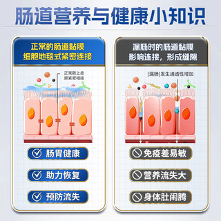 沿寿L-谷氨酰胺补剂胶囊肠道肠溶运动营养补充修复增强免疫肠胃运动缓解肌肉酸痛 谷氨酰胺100粒/瓶