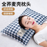 林夕一晨 全荞麦枕100%填充荞麦壳老粗布睡眠颈椎枕头皮枕芯成人单只装深度 蓝条格全荞麦壳枕 大号45x65CM
