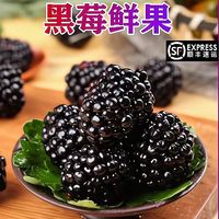 新鲜黑树莓 5盒装/单盒100克