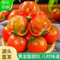 秋小鲜 山东铁皮草莓西红柿5斤 绿腚番茄沙瓤自然熟单果60-150g 源头直发