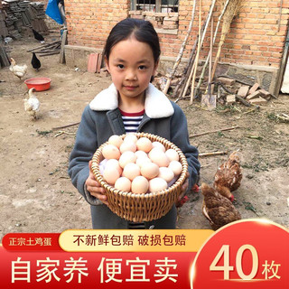 王晚儿精品土鸡蛋10枚整箱非可生食鸡蛋新鲜散养现捡草鸡蛋 整箱10枚/箱